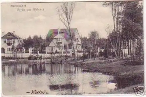 18151 Ak Hermsdorf Partie am Waldsee 1917