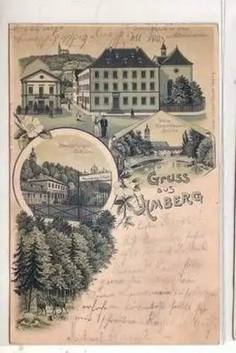 52077 Ak Lithographie Gruss aus Amberg 1899