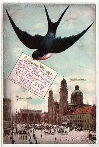 10864 Schwalben Ak Gruß aus München Feldherrnhalle 1906