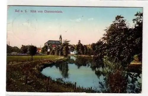 40978 Ak Hof a.S. Blick vom Theresienstein 1913