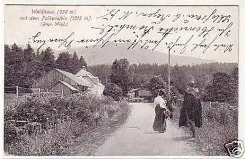 11542 Ak Waldhaus mit dem Falkenstein in Bayern 1917