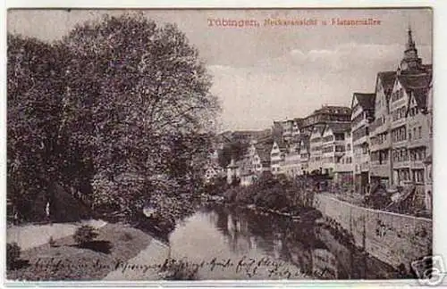 11306 Ak Tübingen Neckaransicht und Platanenallee 1912