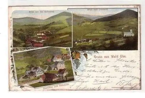 50522 Mehrbild Ak Gruss aus Wald Ulm 1904