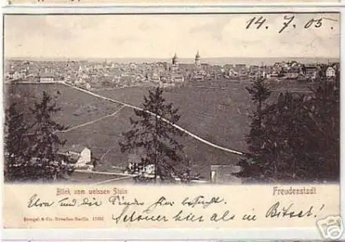 10351 Ak Freudenstadt Blick vom weissen Stein 1905