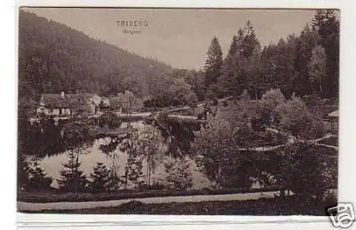 31502 Feldpost Ak Triberg Bergsee 1917