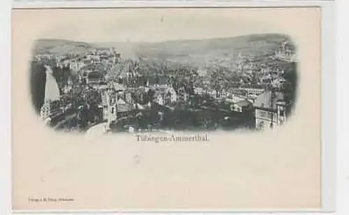 34861 Ak Tübingen Ammerthal Totalansicht um 1900