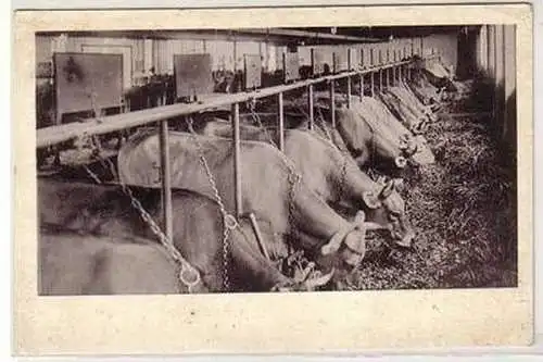 52174 Ak Benningen (Allgäu) Hof Bernhard um 1930