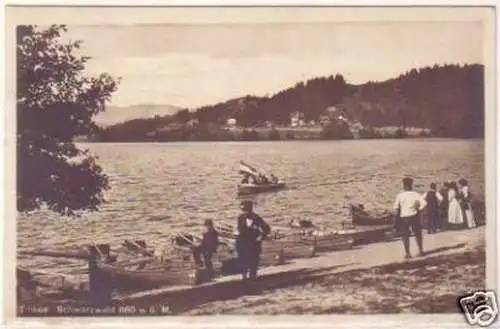 20833 Ak Titisee Schwarzwald 1919