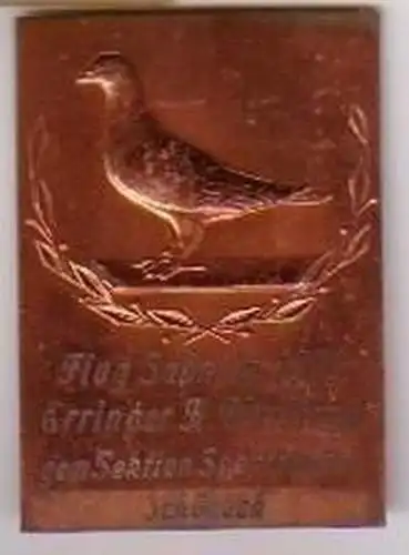 Bronze Medaille Sektion Sporttauben Schöneck 1972