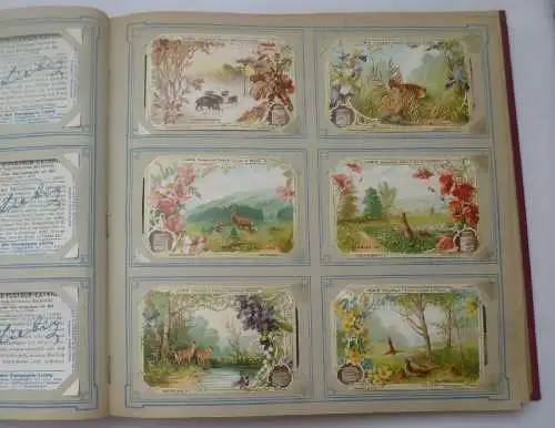 Liebigbilder Serie 452 "Aus Wald und Flur" komplett 1900 (18/ D3325z)