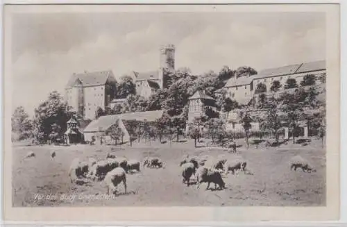 95548 Ak Gnandstein - Schafswiese vor der Burg Gnandstein um 1915