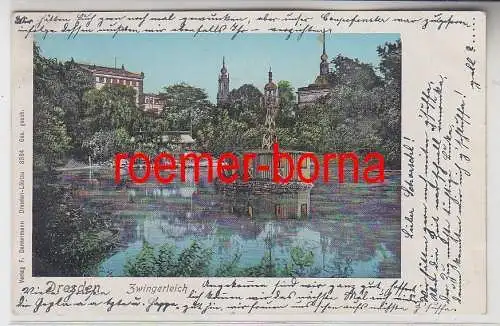 77739 Ak Dresden Zwingerteich 1903