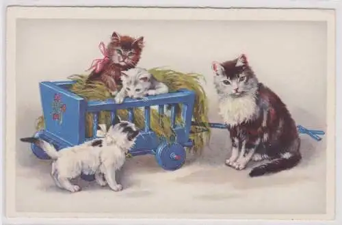 48856 Ak Katze mit Handwagen und 3 kleinen Kätzchen um 1940