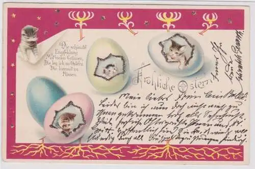 52430 Fröhliche Ostern Ak Katzen schlüpfen aus Ostereiern 1901