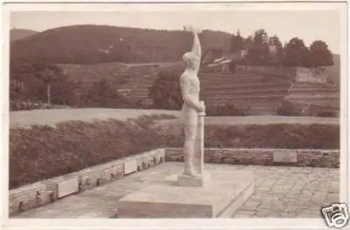 20995 Ak Neustadt an der Haardt Ehrenmal 1931