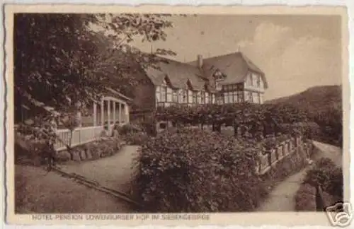 11415 Ak Hotel und Pension Löwenburger Hof 1928