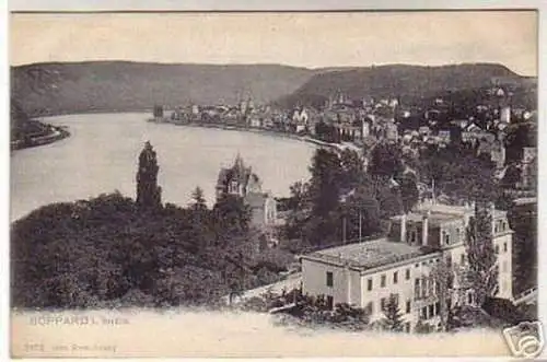 00831 Ak Boppard am Rhein Totalansicht um 1910