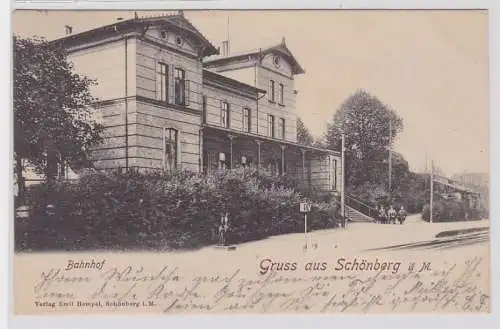 87603 Ak Gruß aus Schönberg in Mecklenburg Bahnhof 1901