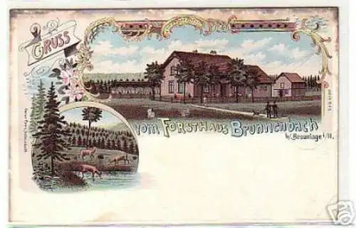 12638 Ak Lithographie Gruß vom Forsthaus Brunnenbach