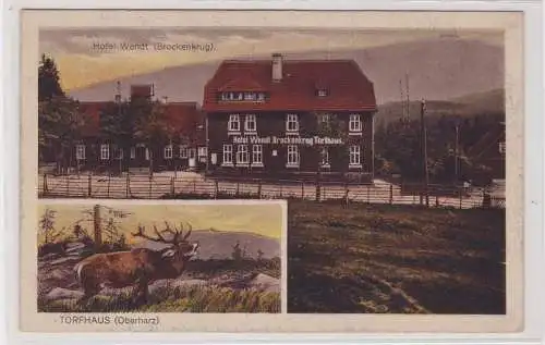 91208 AK Torfhaus (Oberharz) - Hotel Wendt (Brockenkrug), röhrender Hirsch