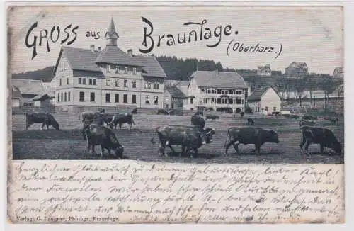 95431 Ak Gruss aus Braunlage Oberharz - Blick auf Häuser und Rinder 1900