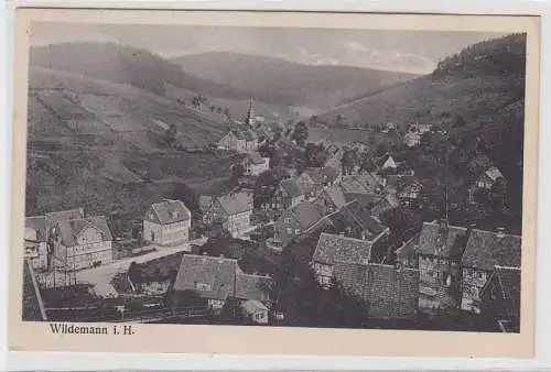 70455 Ak Wildemann im Oberharz Totalansicht 1914