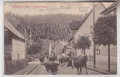 70646 Ak Altenau im Harz Breitestrasse mit Kühen 1907