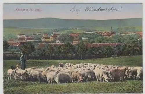 45945 Feldpost Ak Seesen am Harz Schafherde 1915