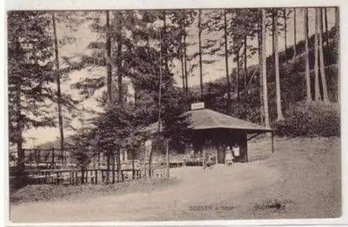 47086 Feldpost Ak Seesen am Harz Waldfrieden 1915