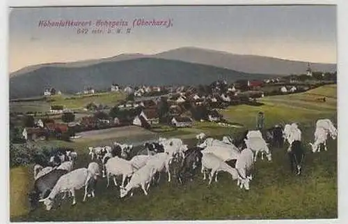 43811 Ak Höhenluftkurort Hohegeiss Oberharz um 1910