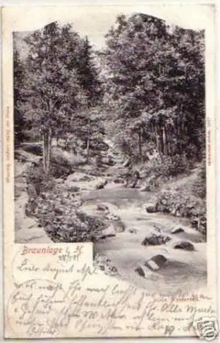 10767 Ak Braunlage im Harz Bode Wasserfall 1901