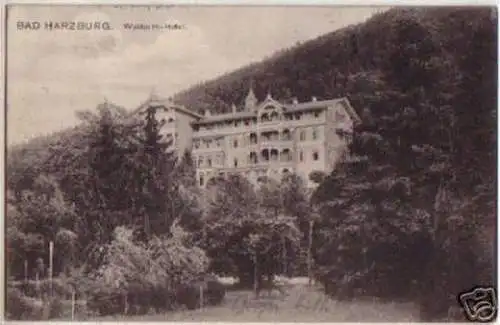 14163 Ak Bad Harzburg Waldpark Hotel 1910