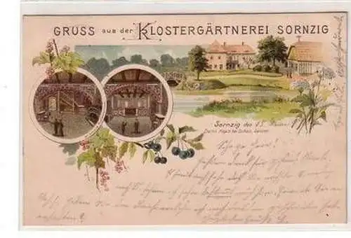 51119 Ak Lithografie Gruss aus der Klostergärtnerei Sornzig bei Mügeln 1904