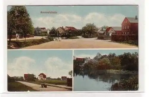 04874 Mehrbild Ak Ammelshain Ortsansicht um 1910