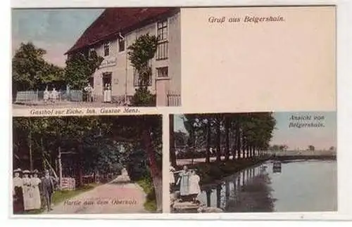 54634 Mehrbild Ak Gruß aus Belgershain Gasthof zur Eiche usw. um 1910