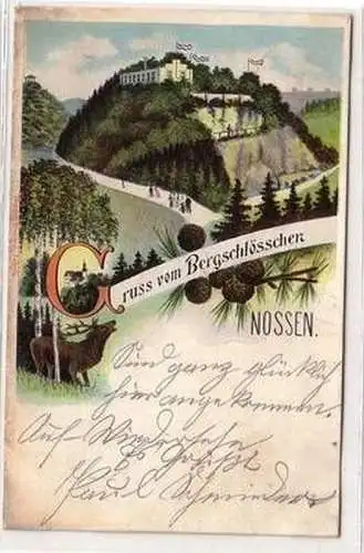 14932 Ak Gruß vom Bergschlösschen Nossen 1906