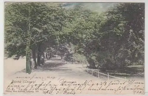 46032 Ak Borna bei Leipzig Promenade 1908