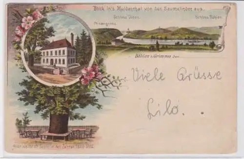 94507 Ak Lithographie Böhlen bei Grimma Blick ins Muldenthal um 1900