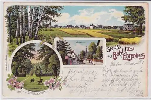 87190 Ak Lithographie Gruß aus Böhlitz Ehrenberg Auenstraße usw. 1903