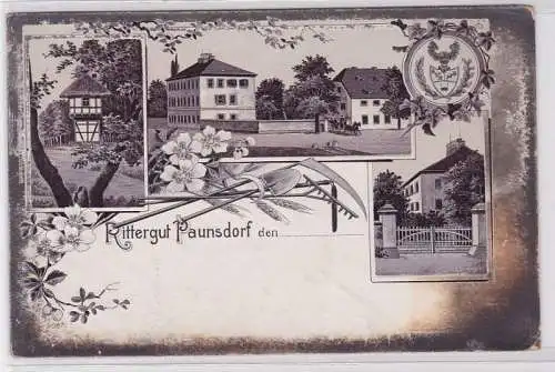 88394 Ak Lithographie Rittergut Paunsdorf um 1900