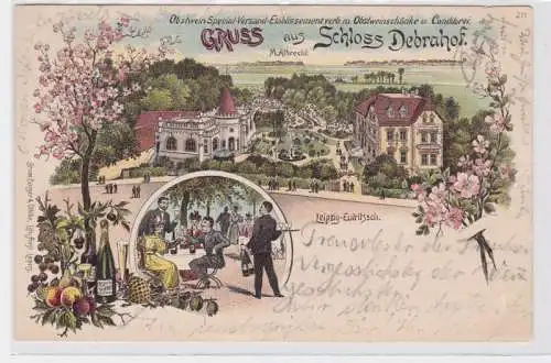 85868 Lithografie AK Gruss aus dem Schloss Debrahof Leipzig-Eutritzsch 1898