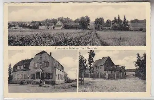 69308 Mehrbild Ak Forsthaus Schöna über Oschatz 1938