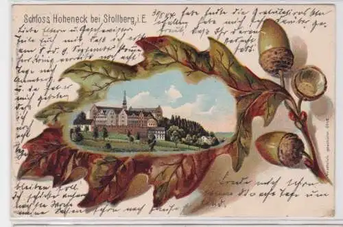 93875 Eichenlaub Präge Ak Lithographie Schloß Hoheneck bei Stollberg i.E. 1904