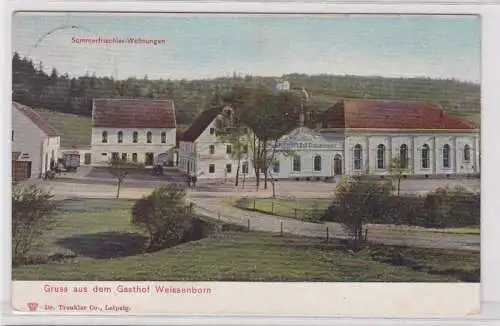 88849 AK Gruss aus dem Gasthof Weissenborn - Sommerfrischler-Wohnungen 1907