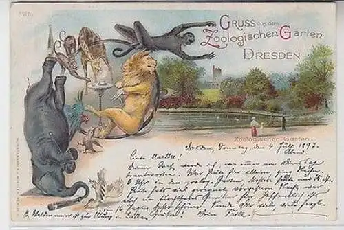 62872 Ak Lithographie Gruß aus dem Zoologischen Garten Dresden 1897