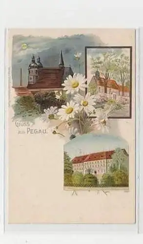 36991 Ak Lithographie Gruß aus Pegau Schule usw. 1901