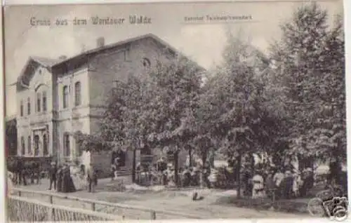 15334 Ak Gruß aus dem Werdauer Walde Bahnhof 1909