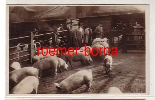 80128 Foto Ak Vieh u. Schlachthof Leipzig: Ausladen von Kleinvieh um 1940