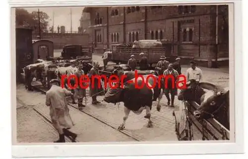 80634 Foto Ak Vieh u. Schlachthof Leipzig: Ankunft p. Landweg um 1940