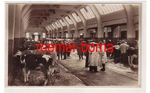 71897 Foto Ak Vieh u. Schlachthof Leipzig: Beim Handel, Rinderhalle um 1940